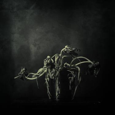 Print of Conceptual Nature Photography by Jarosław Datta