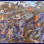 Hiding in a coral reef. by Stanislav Riha