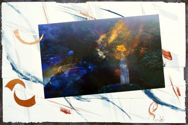 Print of Abstract Nature Collage by Stanislav Riha