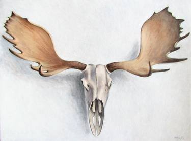 Moose Skull & Antlers thumb