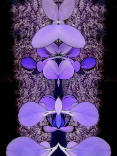 Print of Abstract Floral Photography by by gigis