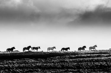 Original Horse Photography by Einar Orn