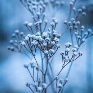 Collection Winter in mountains