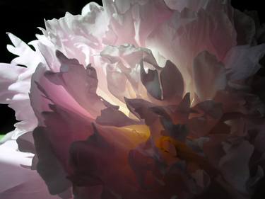 Original Abstract Floral Photography by Alla Roshchina