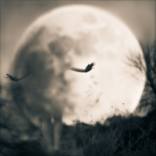 Girl in the Moon #1 of 2 by Tami Bone
