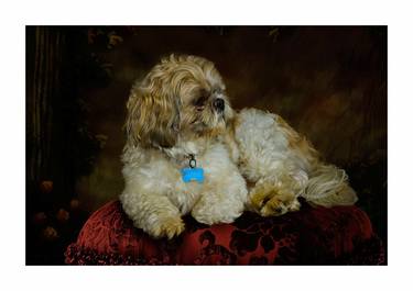 Original Fine Art Dogs Mixed Media by Richard Hayes