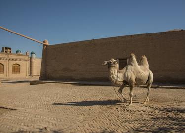 Original Documentary Landscape Photography by Nino Pillitteri