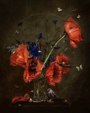 Original Baroque Botanic Photography by Karolina Skorek