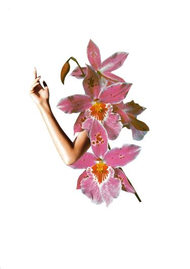 Original Dada Floral Collage by Satin and Tat Collage