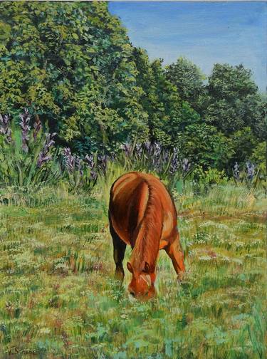 Landscape. Horse in the field. thumb