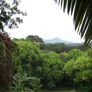 Collection Aussie Distant Views