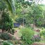Collection Aussie Home Gardens