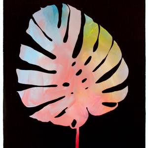 Collection Paintings