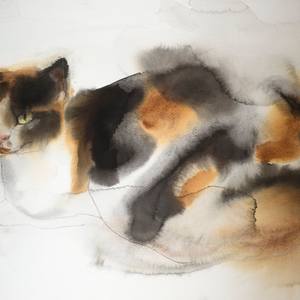 Collection The Cutest Art Collection Ever!