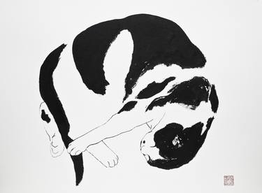 Original Animal Drawings by Agnes Bodor