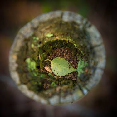 Print of Abstract Nature Photography by Matthew Farrar