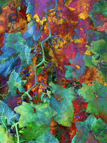Original Fine Art Garden Mixed Media by Luann Ostergaard