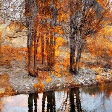 Original Landscape Photography by LuAnn Ostergaard