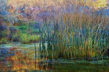 Original Modern Landscape Mixed Media by Luann Ostergaard