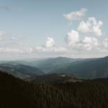 Romanian Forest - Limited Edition of 10 by Cristian Istrate