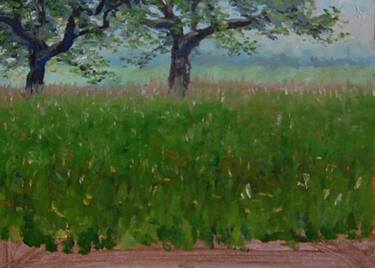 Original Impressionism Landscape Paintings by Wolfram Diehl