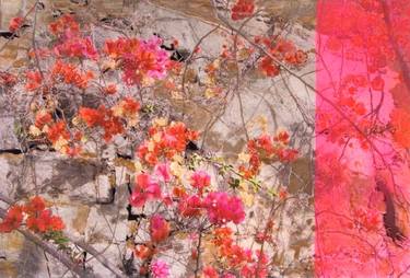 Original Abstract Botanic Painting by Erin Burns