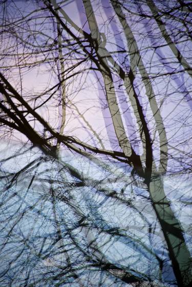 Print of Abstract Nature Photography by Albert Nanning