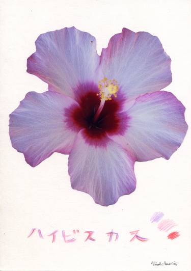 Print of Illustration Botanic Photography by M Groovy