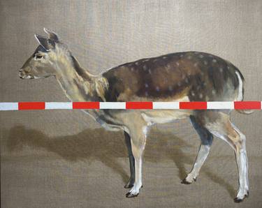 Original Contemporary Animal Paintings by Philine van der Vegte