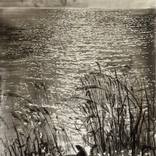 Zuiderzeedijk: Water by Philine van der Vegte