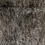 Zuiderzeedijk: Earth by Philine van der Vegte