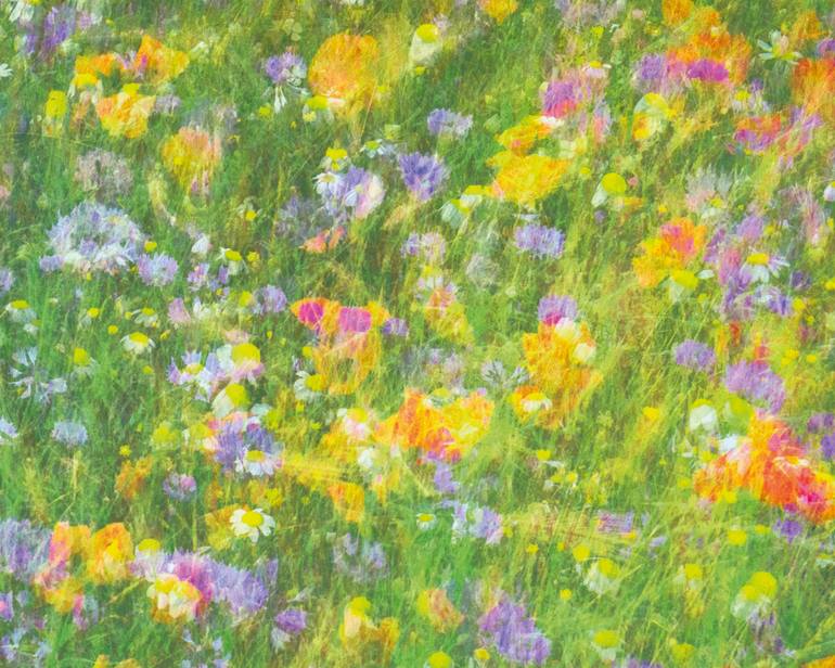 Original Other Nature Photography by Ken Welsh