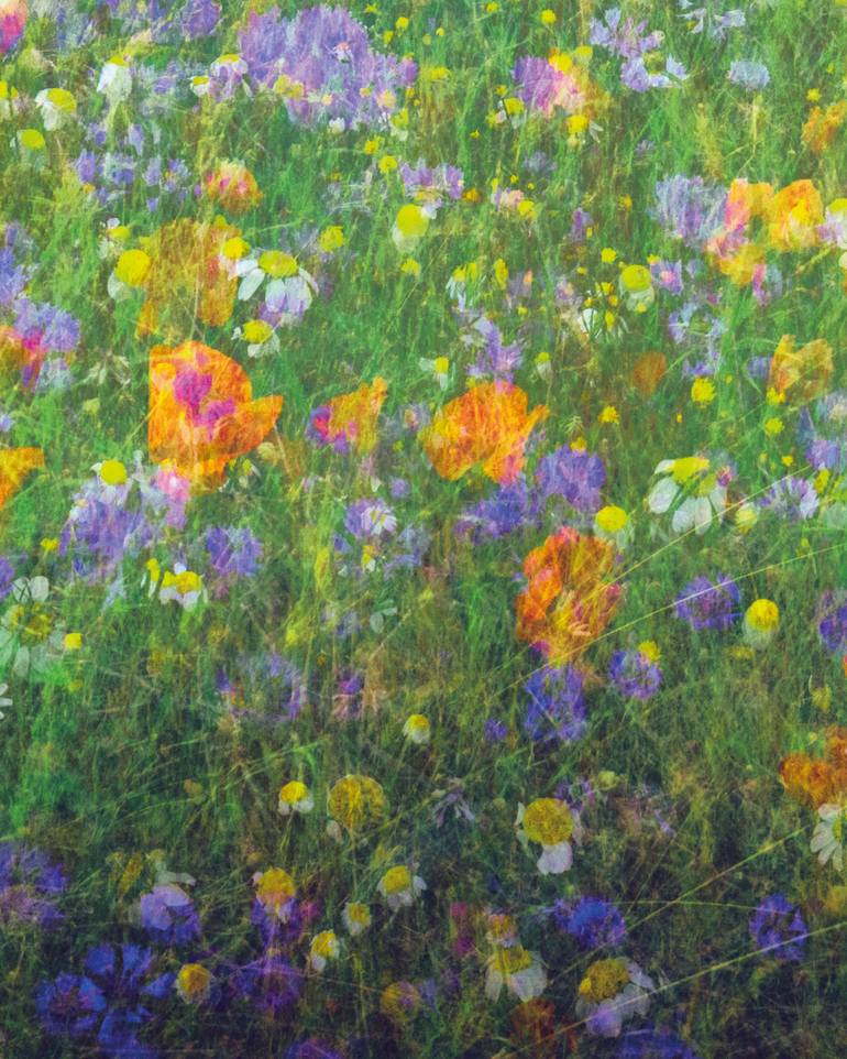 Original Other Nature Photography by Ken Welsh