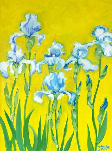 Six Blue Iris thumb