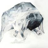 Silk Bull by Danilo Djurovic