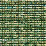 400 Trucks by Alberto Baldelli