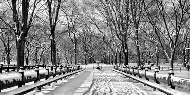 Central Park Benches in Winter thumb