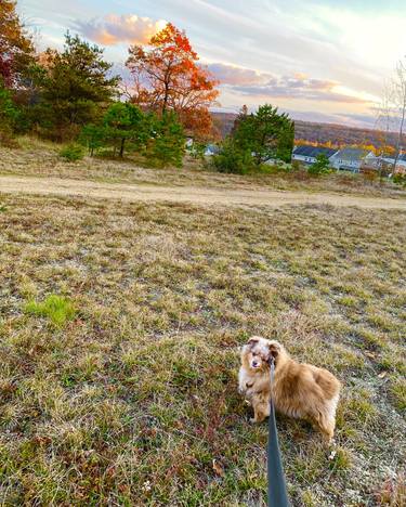 Lukas in Autumn thumb