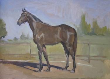 Original Horse Painting by Sylwia Suma-Bolofo