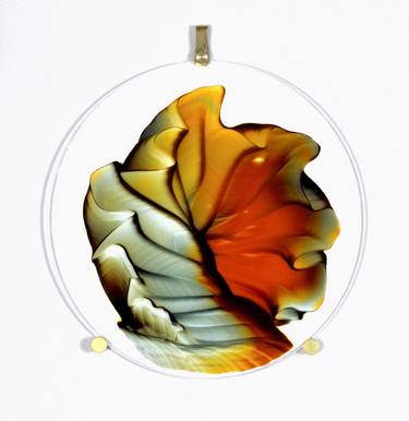 Original Abstract Expressionism Abstract Paintings by Meirav Sher