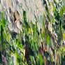 fragment