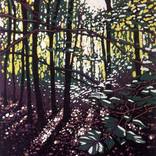 Summer Woodland Glow by Alexandra Buckle