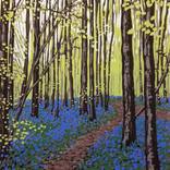 New Leaves and Bluebells by Alexandra Buckle