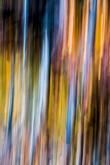 Original Abstract Nature Photography by paolo aizza