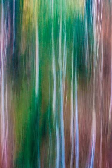 Original Abstract Nature Photography by paolo aizza