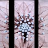 Collection Geometry and Flowers