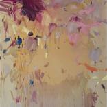 Collection Harmony and Hope