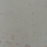 Notes to the minimalist by Elizabeth Ferran