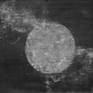 view additional image 1