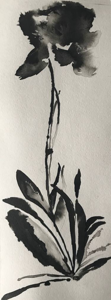 Original Minimalism Floral Drawings by Elizabeth Ferran